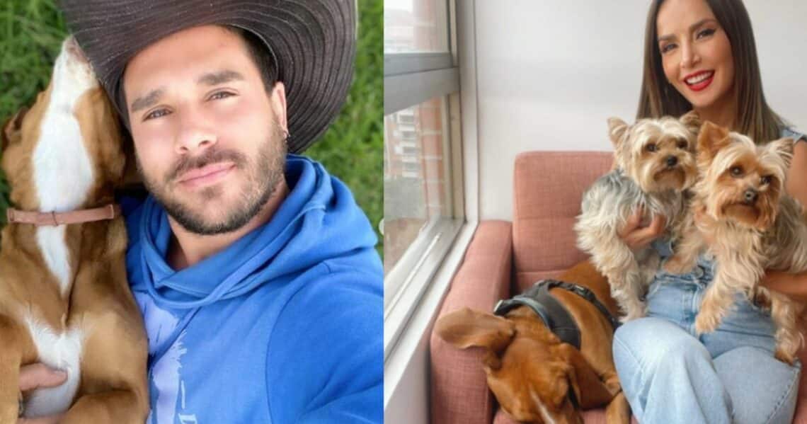 Sebastián Caicedo no dejó espacio a dudas: esto respondió al recibir de nuevo su perro, que lo tenía Carmen Villalobos