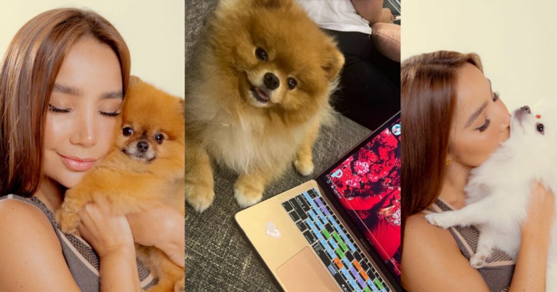 Las mascotas de Paola Jara: cuánto cuestan y de qué raza son