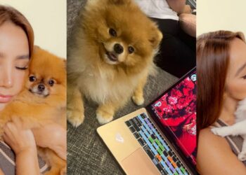 Las mascotas de Paola Jara: cuánto cuestan y de qué raza son
