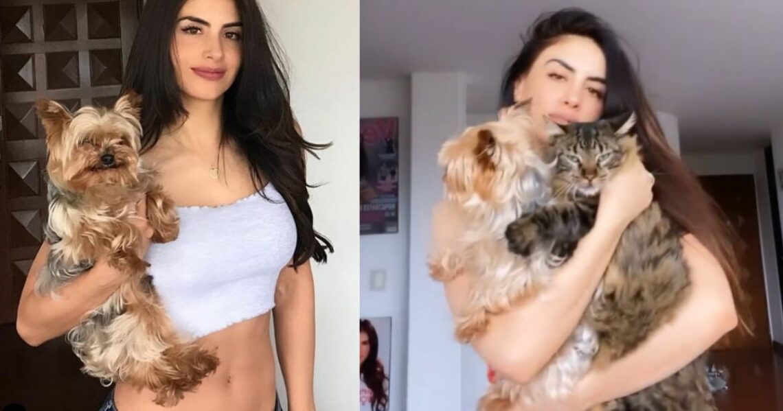 Las mascotas de Jessica Cediel tienen sus propio perfiles en Instagram ¿Cuánto pueden llegar a valer?