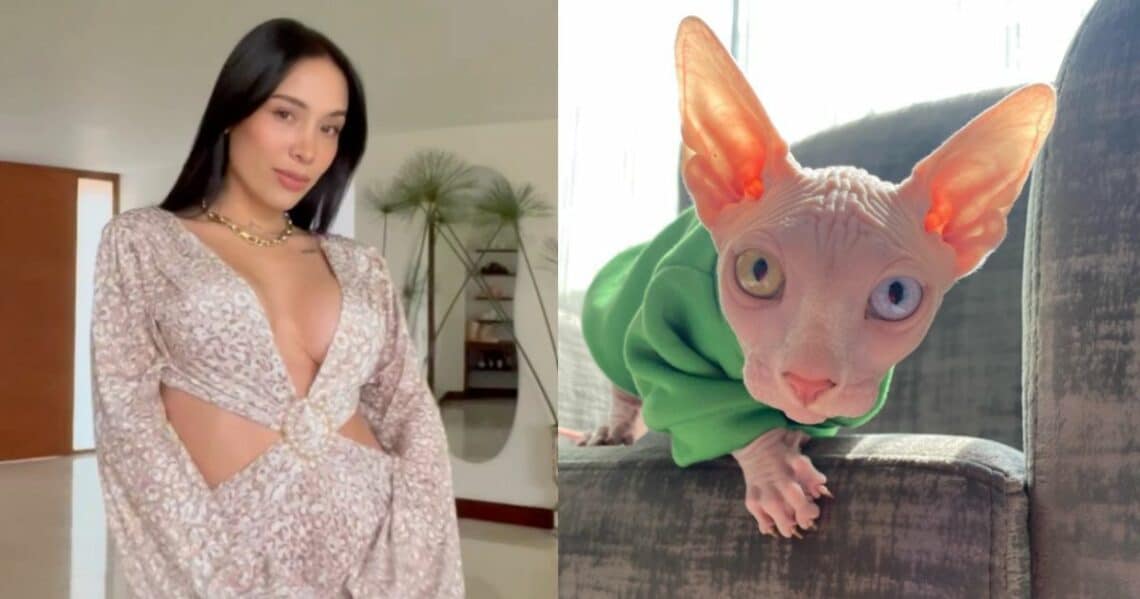 Luisa Fernanda W: Cómo se llama su gato esfinge, cuánto vale y otras curiosidades