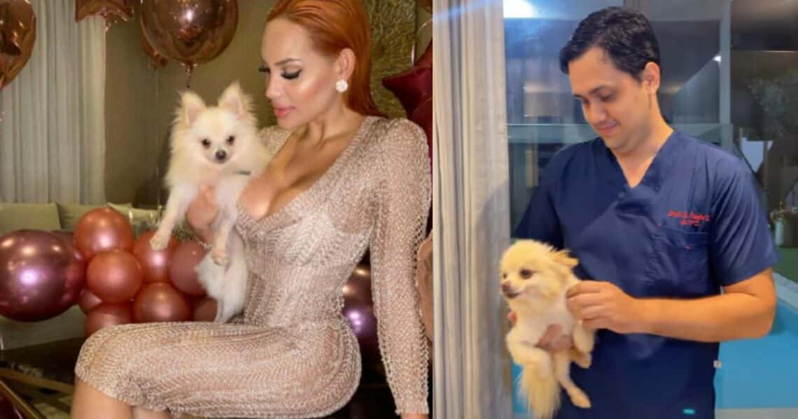 Andrea Valdiri compartió como se ve su mascota Jack luego de estar enfermo