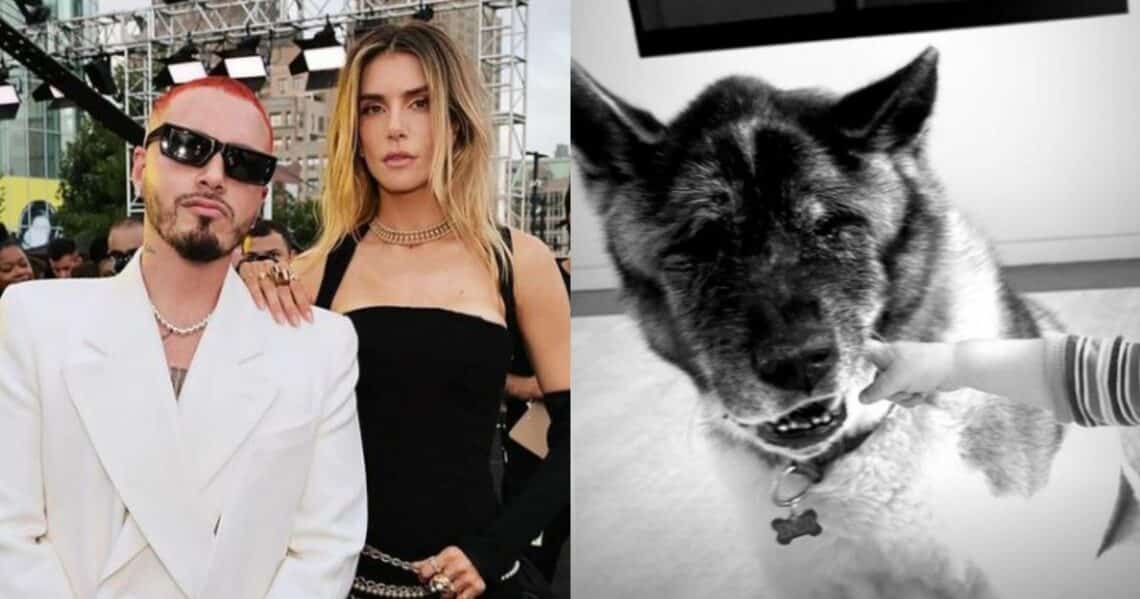 Valentina Ferrer pareja de J Balvin muestra como disfruta del tiempo junto a su hijo y su perro