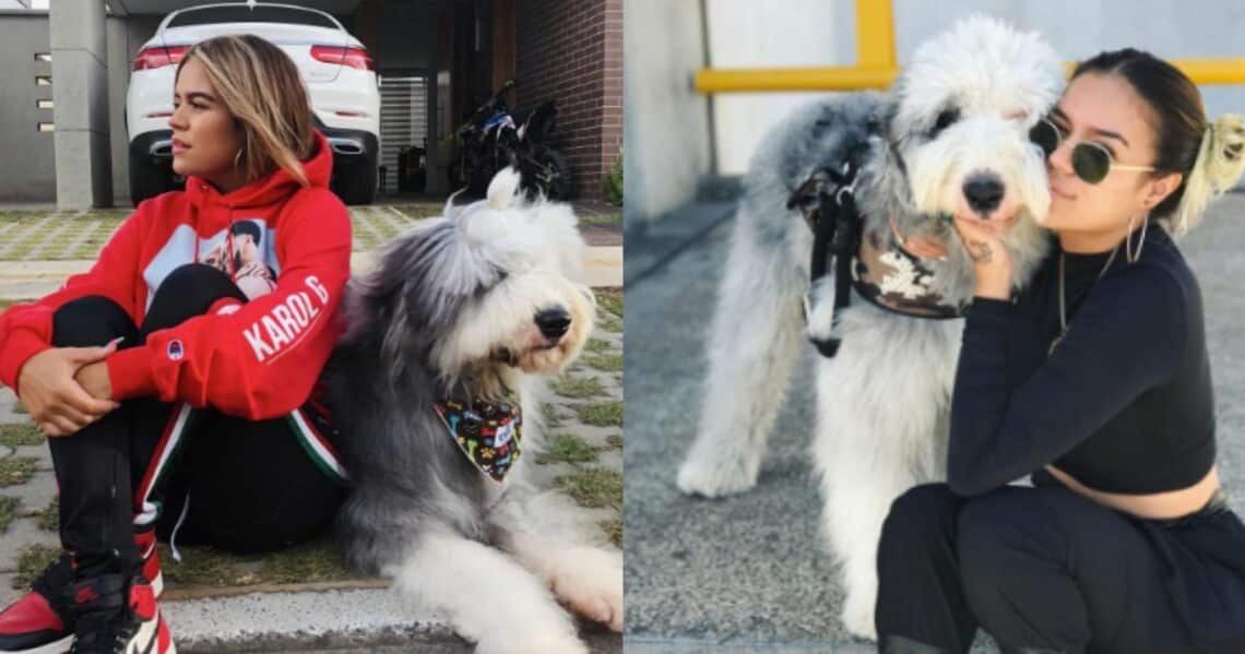 Otto, el perro de Karol G: todo un influencer escaso