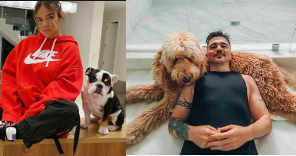 La mejor compañía detrás de los escenarios: aquí algunos perritos de los famosos colombianos