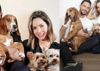 ¿Qué pasó con los perros de Carmen Villalobos y Sebastián Caicedo después de separarse?