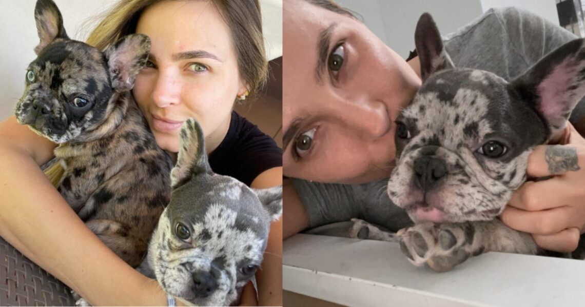 Elizabeth Loaiza quiso saber si sus perros eran tontos en una curiosa prueba.