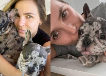 Elizabeth Loaiza quiso saber si sus perros eran tontos en una curiosa prueba.