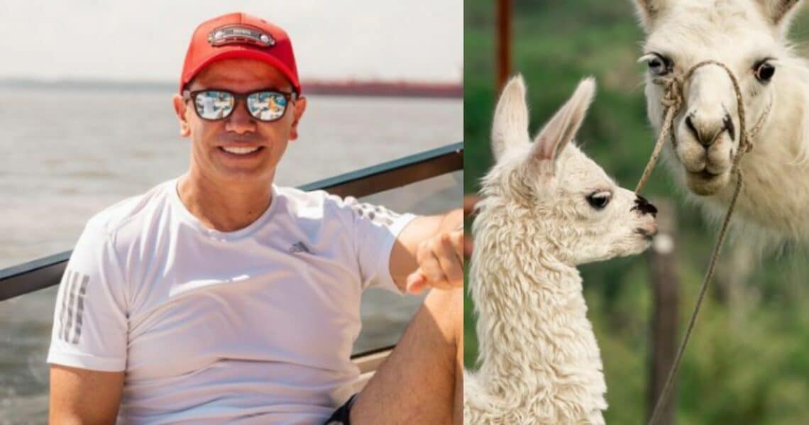 Jhonny Rivera contó una emotiva historia de Copito, la llama de su finca que quedó huérfana