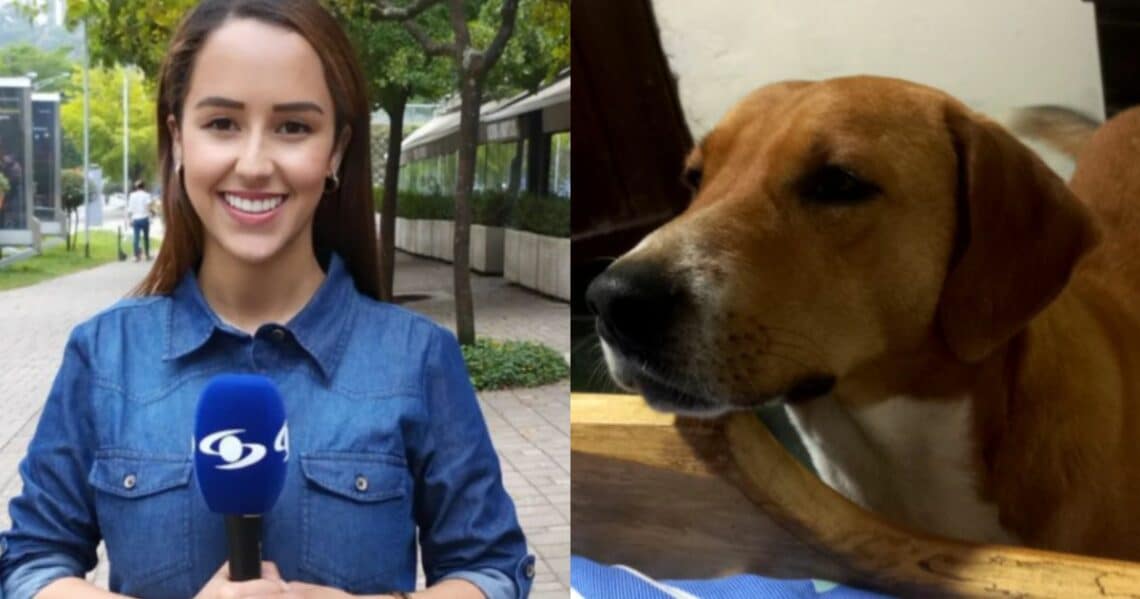 La periodista Erika Zapata, de Caracol Noticias, recordó su más grande amor: Thor