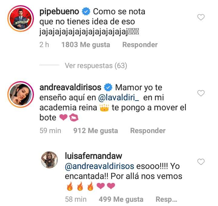 Comentarios en video de Luisa Fernanada W