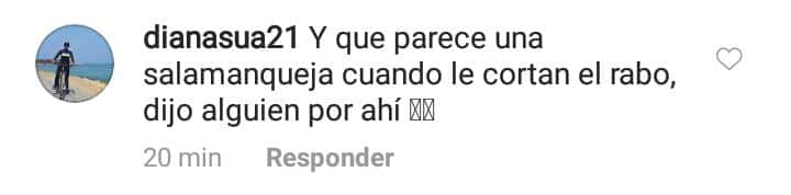 Comentarios en video de Luisa Fernanada W